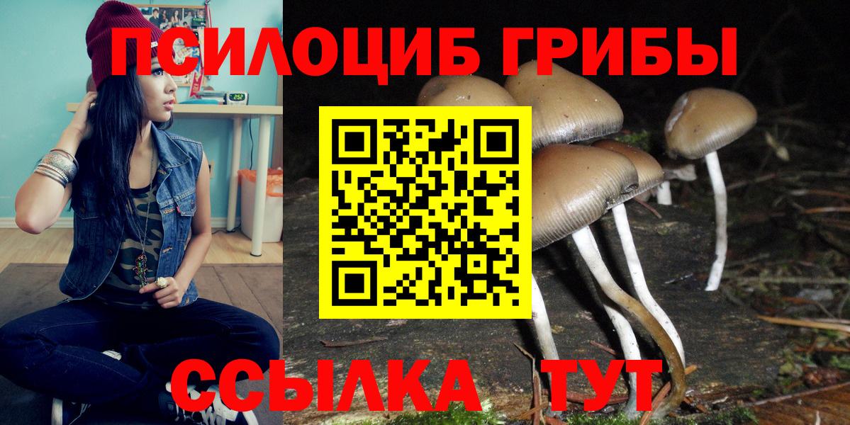 Псилоцибиновые грибы Psilocybe  сколько стоит  Южноуральск  Вход с VPN 