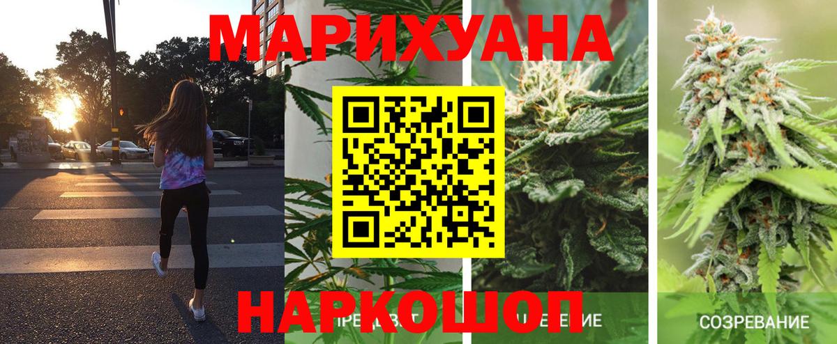 Шишки марихуана семена  Шишки марихуана сатива  Конопля сатива  Южноуральск  Шишки марихуана индика  Вход с VPN 